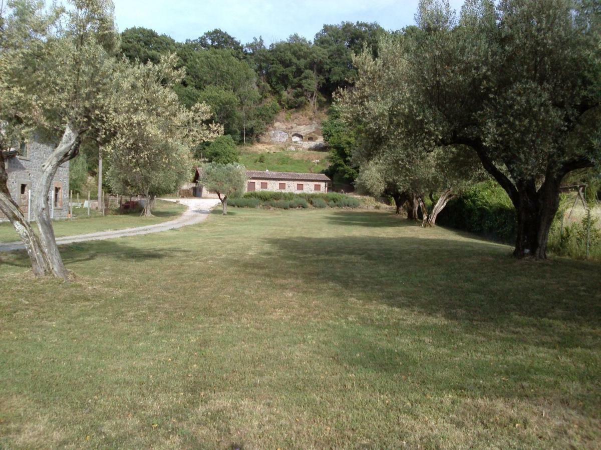Ferienwohnung Casa Sorgente Montefiascone Exterior foto